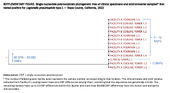 Supplementary Figure Single Nucleotide Polymorphism Phylogenetic Tree of Clinical Specimens and Environmental Samples That Tested Positive for Legionella pneumophila Type 1  Napa County California 2022