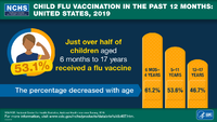 Child flu vaccination in the past 12 months  United States 2019