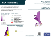 NH Congressional District 01 Stroke and Stroke Centers Map 119th Congress