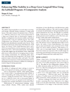 Enhancing Pillar Stability in a DeepCover Longwall Mine Using the LaModel Program A Comparative Analysis
