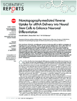 Nanotopographymediated Reverse Uptake for siRNA Delivery into Neural Stem Cells to Enhance Neuronal Differentiation