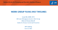 Work group plans and timelines