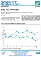 Births Final Data for 2022