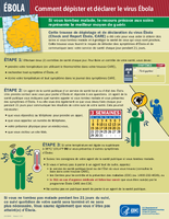 Comment dpister et dclarer le virus bola