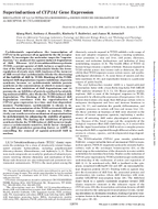 Superinduction of CYP1A1 Gene Expression Regulation of 23 78TetrachlorodibenzoPDioxinInduced Degradation of Ah Receptor by Cycloheximide