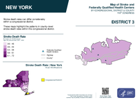 NY Congressional District 03 Stroke and Federally Qualified Health Centers Map 119th Congress