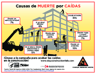 Causas de muerte por cadas 2017