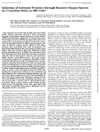 Induction of Activator Protein1 Through Reactive Oxygen Species by Crystalline Silica in JB6 Cells