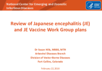 Review of Japanese encephalitis JE and JE Vaccine Work Group plans