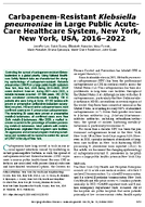 CarbapenemResistant Klebsiella pneumoniae in Large Public AcuteCare Healthcare System New York New York USA 20162022
