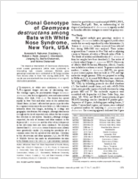 Clonal Genotype of Geomyces destructans among Bats with White Nose Syndrome New York USA