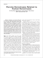 Porcine Noroviruses Related to Human Noroviruses