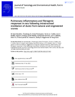 Pulmonary Inflammatory and Fibrogenic Responses in Rats Following Intratracheal Instillation of Dusts from Natural and Engineered Stones