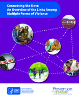 Connecting the Dots An Overview of the Links Among Multiple Forms of Violence