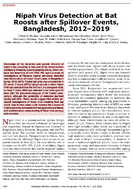 Nipah Virus Detection at Bat Roosts after Spillover Events Bangladesh 20122019