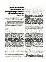 HumantoDog Transmission of MethicillinResistant Staphylococcus aureus