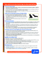 Datos sobre la carne de animal salvaje y la enfermedad del Ebola