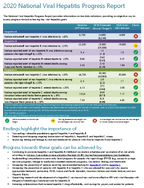 2020 National Viral Hepatitis Progress Report