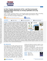 In Vitro Toxicity Assessment of Pre and PostIncinerated Organomodified Nanoclays on Airway Epithelial and Lung Fibroblast Cells