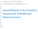 Board of Scientific Counselors Infectious Diseases Food Safety Modernization Act Surveillance Working Group Annual Report to the Secretary Department of Health and Human Services 2023
