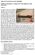 Municipal Tree Trimmer Dies When Falling Tree Limb Struck Him