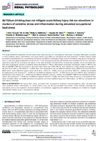 Ad Libitum Drinking Does Not Mitigate Acute Kidney Injury Risk nor Elevations in Markers of Oxidative Stress and Inflammation During Simulated Occupational Heat Stress