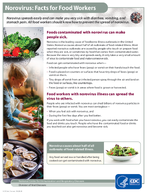 Norovirus Facts for Food Workers 2024