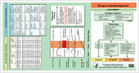 Dengue case management