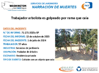Servicios de jardinera narracin de muertes trabajador arbolista es golpeado por rama que caa Washington 712712025SP