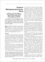 Human Metapneumovirus Peru