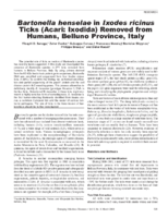 Bartonella henselae in Ixodes ricinus Ticks Acari Ixodida Removed from Humans Belluno Province Europe
