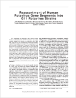 Reassortment of Human Rotavirus Gene Segments into G11 Rotavirus Strains
