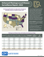 Enhanced Meningococcal Disease Surveillance Report 2022