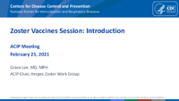 Zoster vaccines session  Introduction