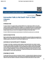 Ironworker Falls to His Death from a Steel Column FACE 8815