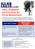 FACE Facts Tree Trimmer Suffocated by Palm Branches