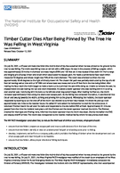 Timber Cutter Dies After Being Pinned by The Tree He Was Felling in West Virginia