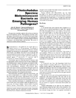 Photorhabdus Species Bioluminescent Bacteria as Human Pathogens