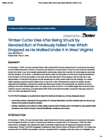 Timber Cutter Dies After Being Struck by Elevated Butt of Previously Felled Tree Which Dropped as He Walked Under it in West Virginia