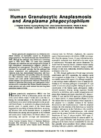 Human Granulocytic Anaplasmosis and Anaplasma phagocytophilum