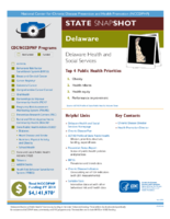 State Snapshot Delaware