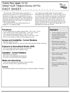 2004 Puerto Rico Ages 1315 Global Youth Tobacco Survey GYTS Fact Sheet
