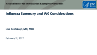Influenza summary and WG considerations