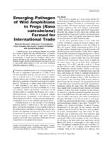 Emerging Pathogen in Wild Amphibians and Frogs Rana catesbeiana Farmed for International Trade