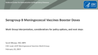 Serogroup B meningococcal vaccines booster doses  Work Group interpretation considerations for policy options and next steps