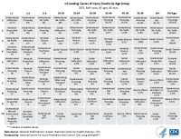 10 Leading Causes of Injury Deaths by Age Group 2021 Both Sexes All Ages All Races
