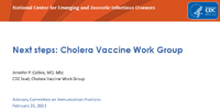 Next steps Cholera Vaccine Work Group