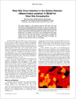 West Nile virus infection in the golden hamster Mesocricetus auratus a model for West Nile encephalitis