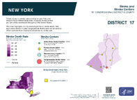 NY Congressional District 17 Stroke and Stroke Centers Map 118th Congress