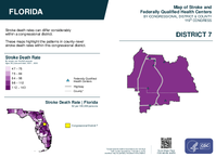 FL Congressional District 07 Stroke and Federally Qualified Health Centers Map 119th Congress